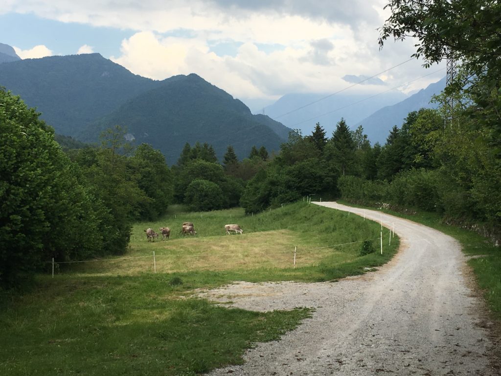 Bosco del Cerreto, terza tappa Via Valeriana