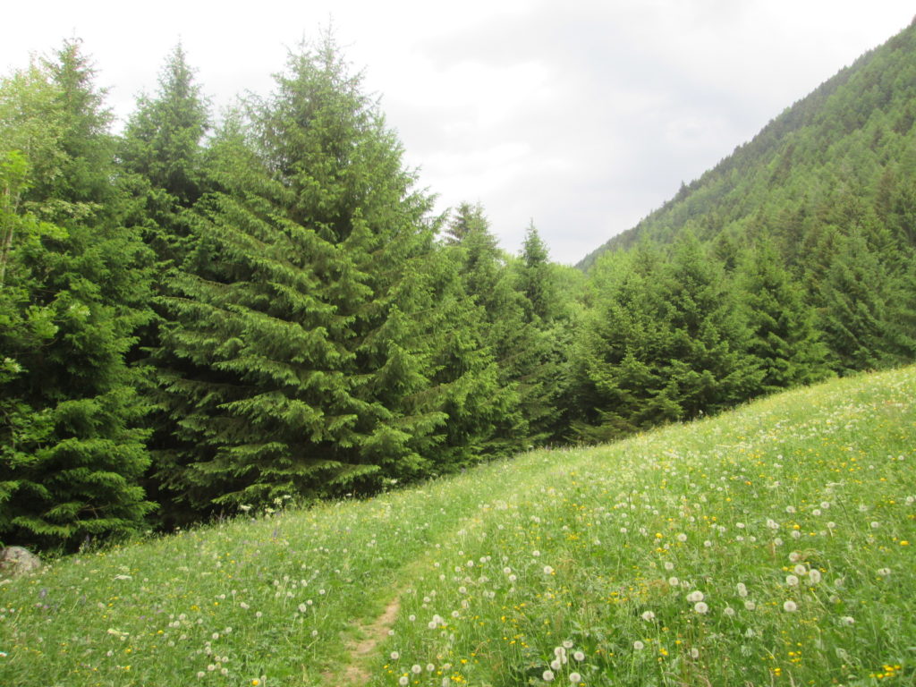 Percorso verso Vezza d'Oglio, tappa 7 Via Valeriana