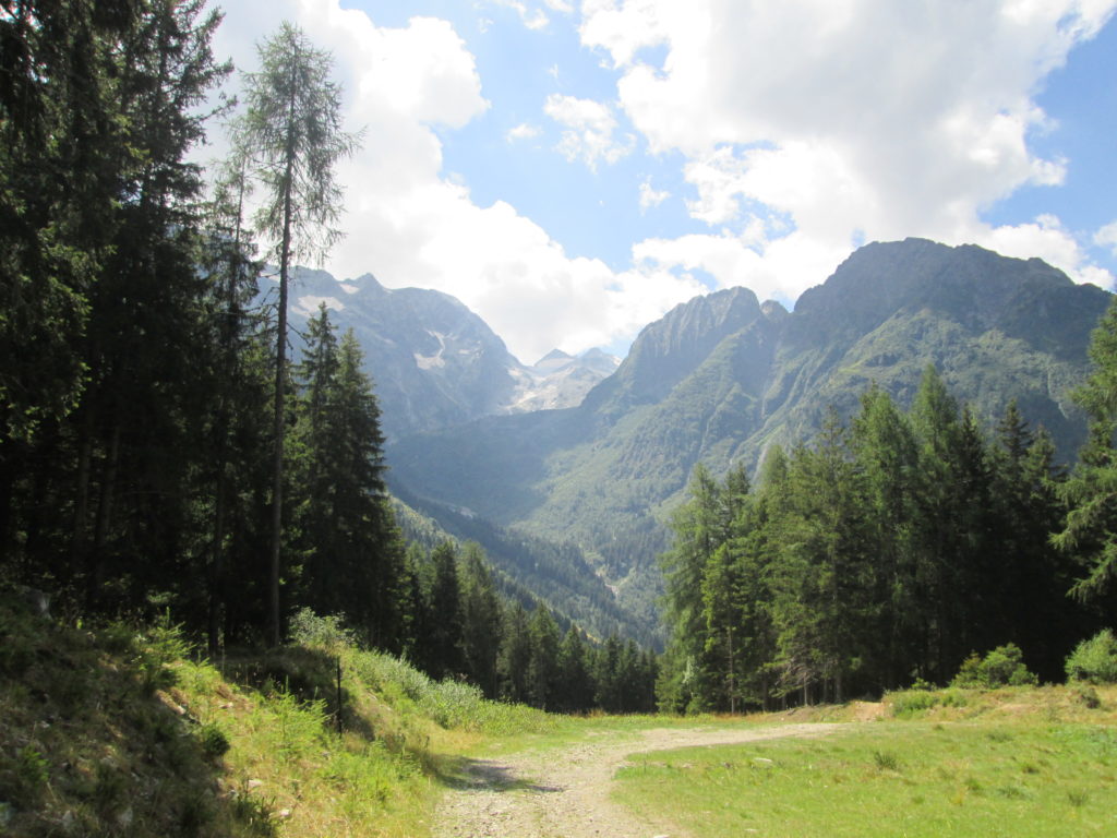 Salendo al Tonale, tappa 8 Via Valeriana